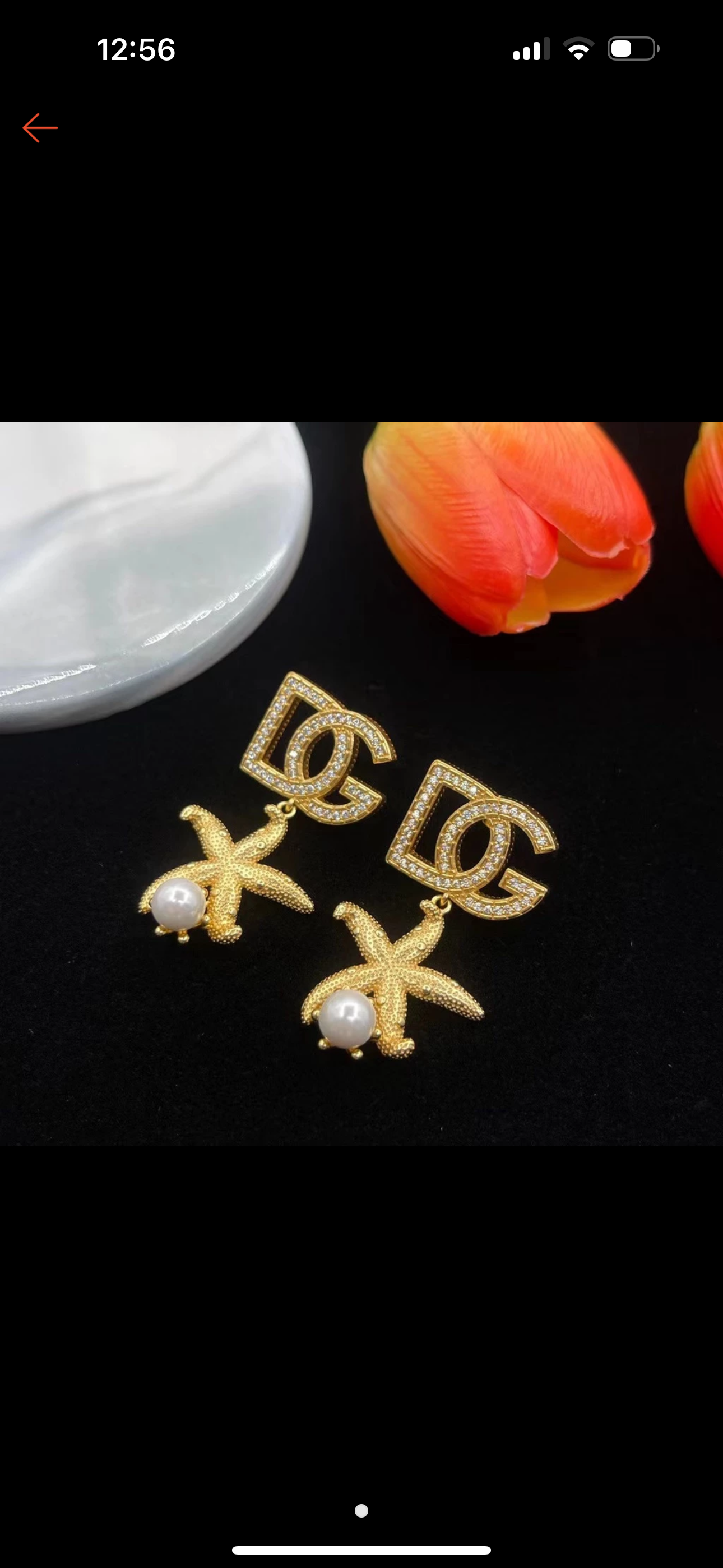 Aretes DG